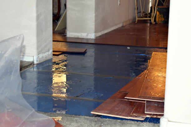 Professional Flood Damage Repair technician working in Pleasanton, CA